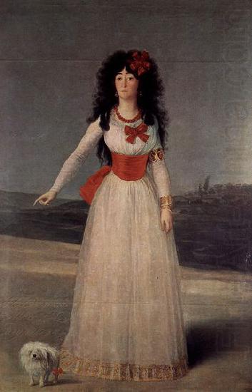 Francisco de Goya Duchess of Alba - The White Duchess china oil painting image
